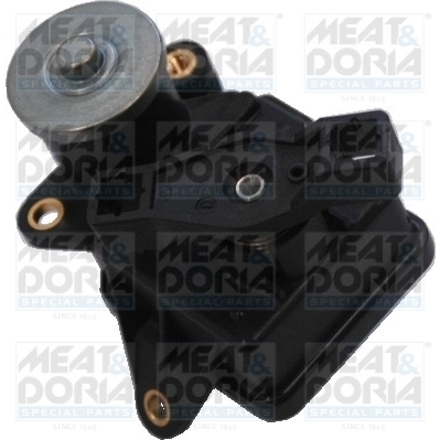 Control, swirl flaps (induction pipe)